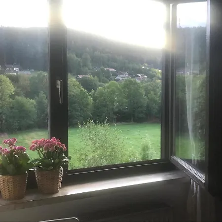 Ferienwohnung Traummichel Lam Esterno foto