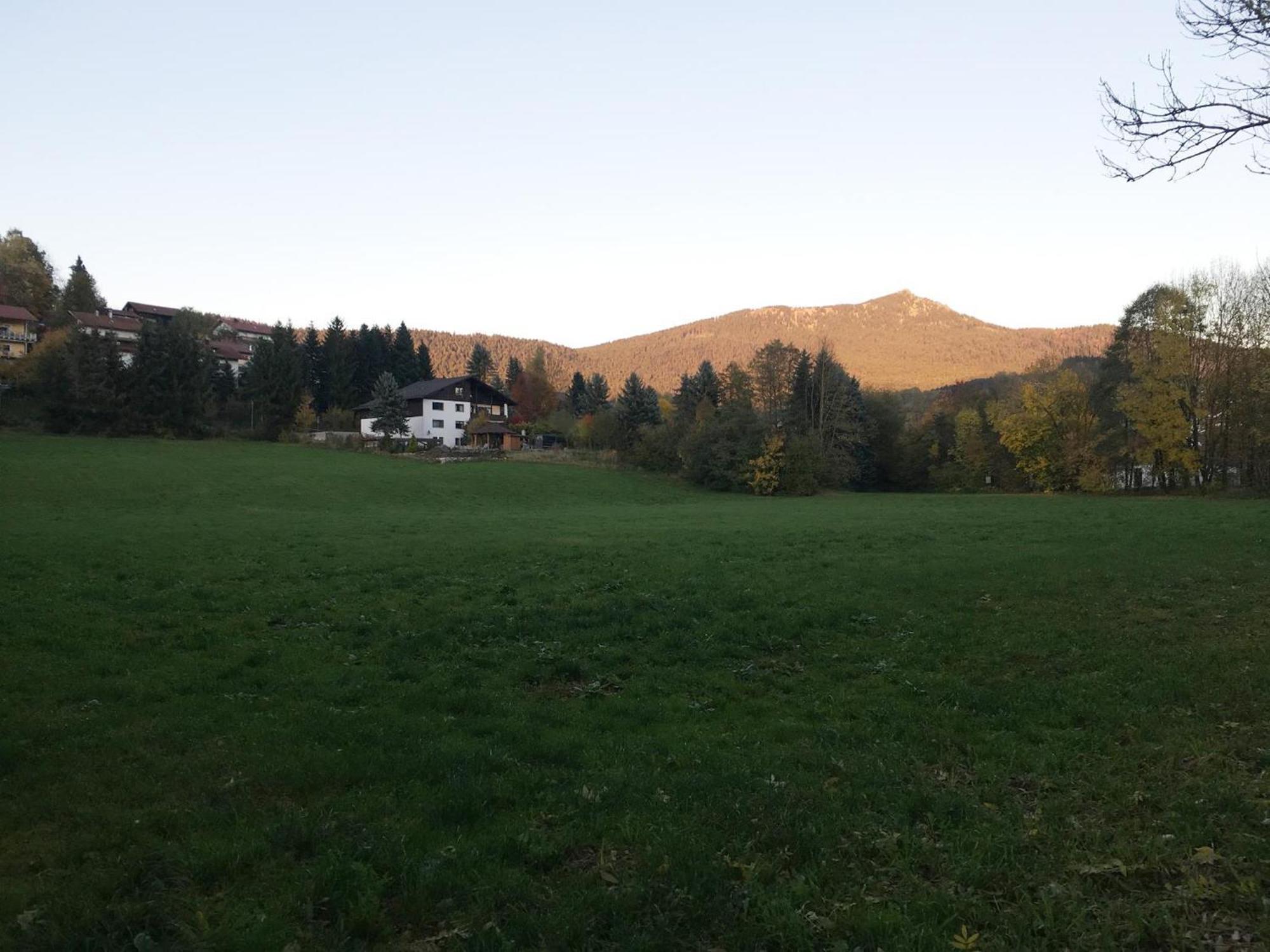 Traummichel * Lam